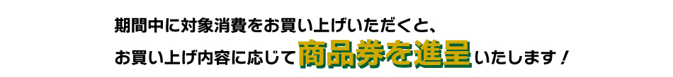 お買い上げ内容に応じて商品券を進呈いたします。